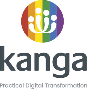 Kanga - Practical Digital Transformation